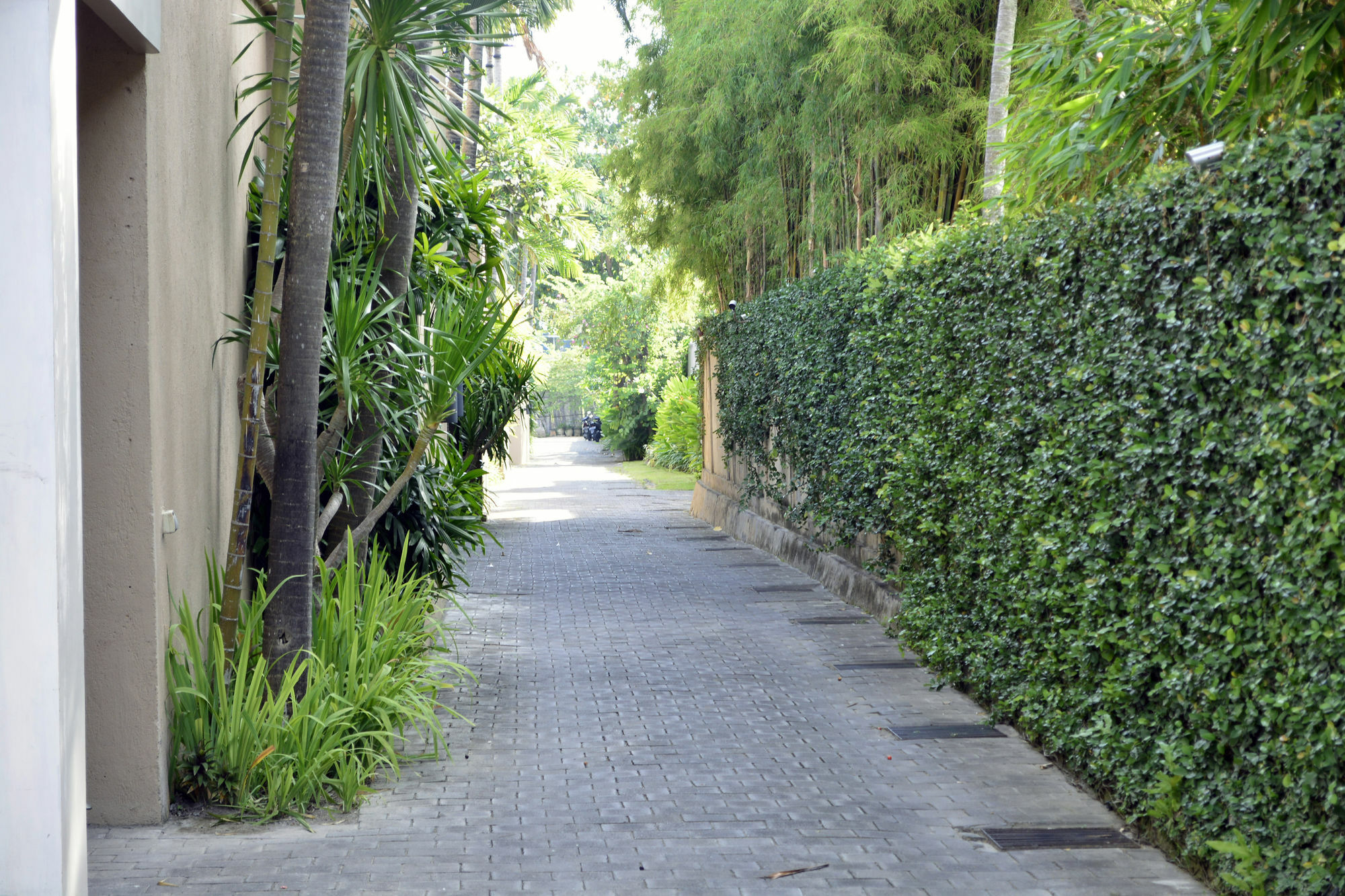Sienna Villas - Chse Certified Seminyak Zewnętrze zdjęcie